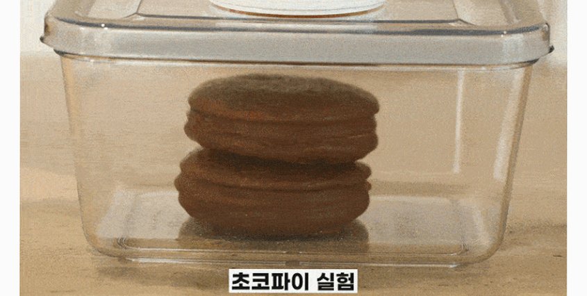 [N배송] 휴락 진공 밀폐용기 뉴트럴그레이 사각 4종 전자레인지 식세기사용 반찬통 도시락통